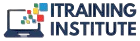 Itraininginstitute Logo