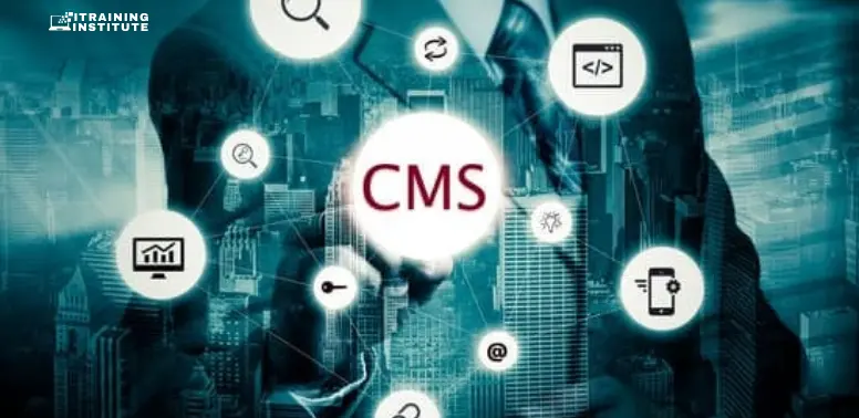 Content Management Systems (CMS)