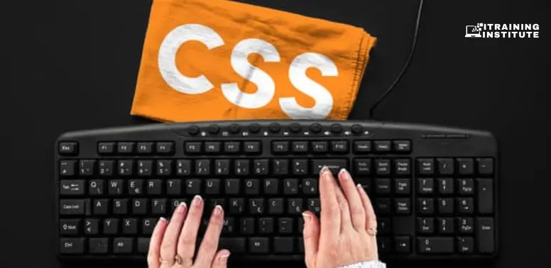 CSS