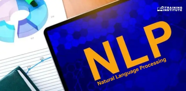 Natural Language Processing (NLP)